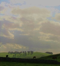 Derbyshire